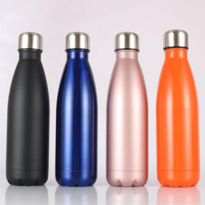 Insulated Stainless Bottle