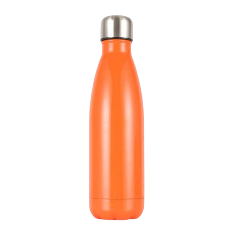 Insulated Stainless Bottle