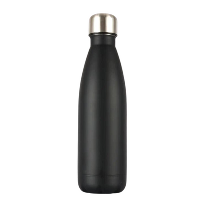 Insulated Stainless Bottle