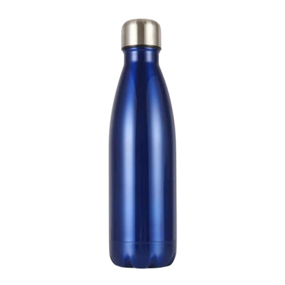 Insulated Stainless Bottle