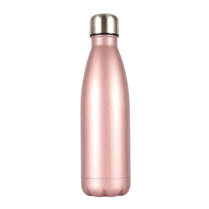 Insulated Stainless Bottle